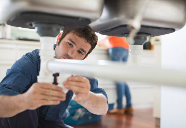 Best Local Plumber Services  in Mims, FL